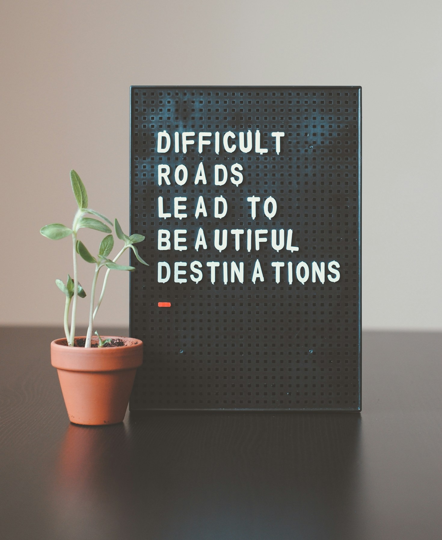 Tenacious Leaders Who Changed the World